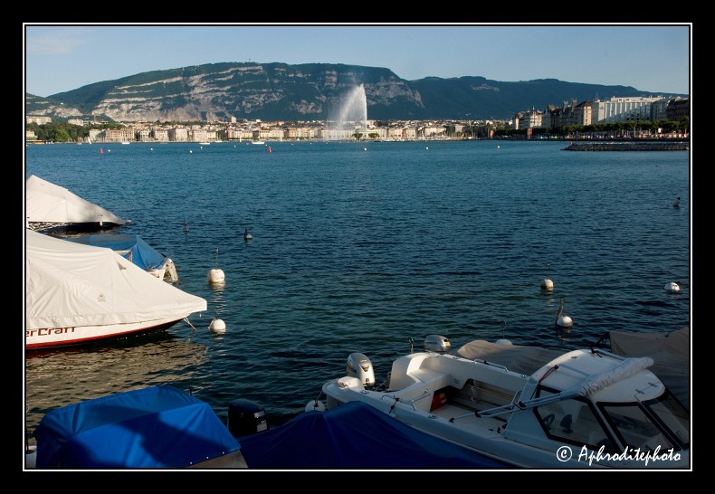 158 La rade vue du parc Perle du Lac